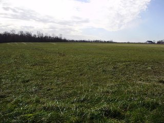 Property photo 20 - LAND AUCTION - 230+/- ACRES IN 5 TRACTS IN WAYNE COUNTY, INDIANA